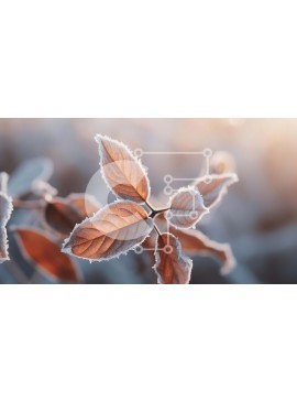 Intra Συλλεκτικό Ξύλινο Παζλ Plywood  4mm - Κοντινό πλάνο παγωμένων φύλλων σε ένα κλαδί με το φως του ήλιου Σε Ξύλινο Κουτί - Διαστάσεις: 10x10 cm – 25 κομμάτια