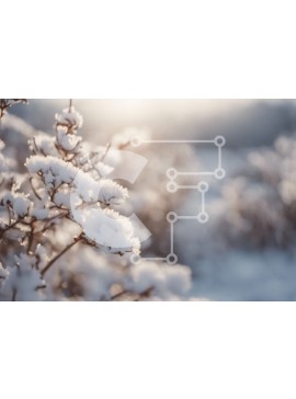 Intra Συλλεκτικό Ξύλινο Παζλ Plywood  4mm - Χειμερινό τοπίο - Χιονισμένος θάμνος στο φως του ήλιου Σε Ξύλινο Κουτί - Διαστάσεις: 10x10 cm – 25 κομμάτια