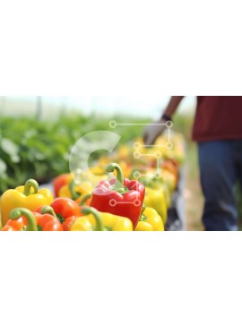 Σετ των 2 Intra Συλλεκτικό Ξύλινο Παζλ Plywood  4mm - Πολύχρωμες πιπεριές σε αγροτικό περιβάλλον Σε Ξύλινο Κουτί - Διαστάσεις: 10x10 cm – 25 κομμάτια