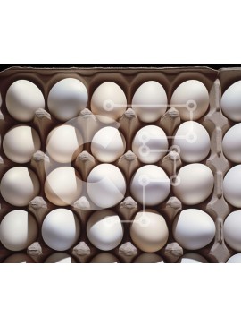 Σετ των 2 Intra Συλλεκτικό Ξύλινο Παζλ Plywood  4mm - Κιβώτιο των αυγών Στοκ Φωτογραφία Σε Ξύλινο Κουτί - Διαστάσεις: 10x10 cm – 25 κομμάτια