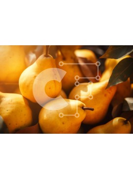 Σετ των 2 Intra Συλλεκτικό Ξύλινο Παζλ Plywood  4mm - Ομάδα ώριμων αχλαδιών που στοιβάζονται σε σχήμα πυραμίδας Σε Ξύλινο Κουτί - Διαστάσεις: 10x10 cm – 25 κομμάτια