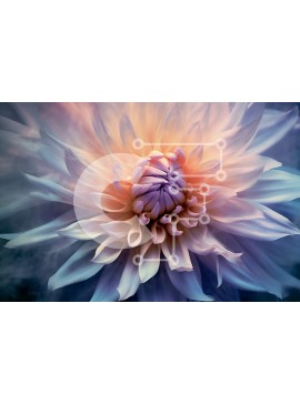 Intra Συλλεκτικό Ξύλινο Παζλ Plywood  4mm - Όμορφη κινηματογράφηση σε πρώτο πλάνο ενός ευαίσθητου λουλουδιού σε πλήρη άνθιση Σε Ξύλινο Κουτί - Διαστάσεις: 10x10 cm – 25 κομμάτια