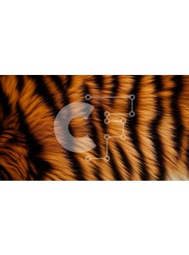 Intra Συλλεκτικό Ξύλινο Παζλ Plywood  4mm - Κοντινό πλάνο της γούνας τίγρης σε καφέ και πορτοκαλί Σε Ξύλινο Κουτί - Διαστάσεις: 10x10 cm – 25 κομμάτια