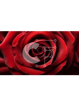 Intra Συλλεκτικό Ξύλινο Παζλ Plywood  4mm - Κοντινό πλάνο ενός κόκκινου τριαντάφυλλου Σε Ξύλινο Κουτί - Διαστάσεις: 10x10 cm – 25 κομμάτια