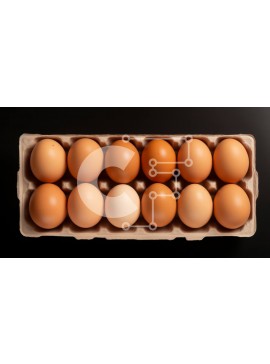 Σετ των 2 Intra Συλλεκτικό Ξύλινο Παζλ Plywood  4mm - Κουτί με 12 καφέ αυγά Σε Ξύλινο Κουτί - Διαστάσεις: 10x10 cm – 25 κομμάτια