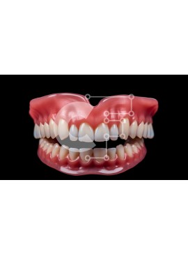 Intra Συλλεκτικό Ξύλινο Παζλ Plywood  4mm - Μοντέλο ανθρώπινων δοντιών και ούλων Σε Ξύλινο Κουτί - Διαστάσεις Puzzle: 10x10 cm – 25 κομμάτια