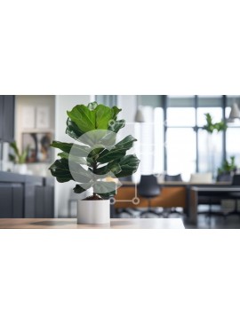 Intra Συλλεκτικό Ξύλινο Παζλ Plywood  4mm - Φυτό σε γλάστρα στο τραπέζι γραφείου Σε Ξύλινο Κουτί - Διαστάσεις Puzzle: 10x10 cm – 25 κομμάτια