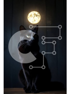 Σετ των 2 Intra Συλλεκτικό Ξύλινο Παζλ Plywood  4mm - Μυστηριώδης μαύρη γάτα με φόντο την πανσέληνο Σε Ξύλινο Κουτί - Διαστάσεις: 10x10 cm – 25 κομμάτια