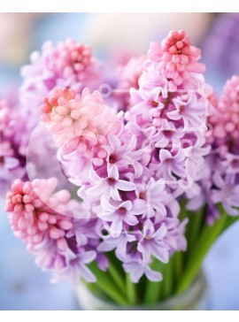 Intra Συλλεκτικό Ξύλινο Παζλ Plywood  4mm - Ζωντανά μωβ λουλούδια υάκινθου σε ένα όμορφο βάζο Σε Ξύλινο Κουτί - Διαστάσεις: 10x10 cm – 25 κομμάτια