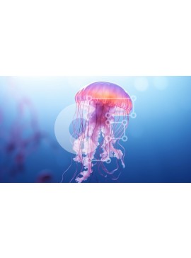 Intra Συλλεκτικό Ξύλινο Παζλ Plywood  4mm - Μέδουσες στον ωκεανό Σε Ξύλινο Κουτί - Διαστάσεις: 10x10 cm – 25 κομμάτια
