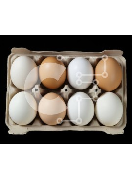 Σετ των 2 Intra Συλλεκτικό Ξύλινο Παζλ Plywood  4mm - Κουτί με αυγά - φρέσκα και βιολογικά Σε Ξύλινο Κουτί - Διαστάσεις: 10x10 cm – 25 κομμάτια