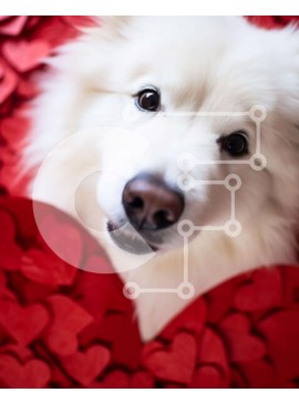 Σετ των 2 Intra Συλλεκτικό Ξύλινο Παζλ Plywood  4mm - Λευκός σκύλος που περιβάλλεται από κόκκινες καρδιές σε σχήμα καρδιάς Σε Ξύλινο Κουτί - Διαστάσεις: 10x10 cm – 25 κομμάτια