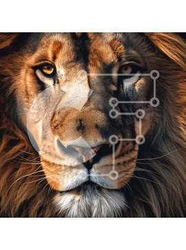 Intra Συλλεκτικό Ξύλινο Παζλ Plywood  4mm - Το Fierce Lion κοιτάζει απευθείας την κάμερα σε κοντινή εικόνα Σε Ξύλινο Κουτί - Διαστάσεις: 10x10 cm – 25 κομμάτια