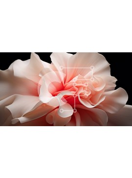 Intra Συλλεκτικό Ξύλινο Παζλ Plywood  4mm - Κοντινό πλάνο ροζ λουλουδιών ορχιδέας σε μαύρο φόντο Σε Ξύλινο Κουτί - Διαστάσεις: 10x10 cm – 25 κομμάτια