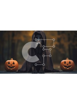 Σετ των 2 Intra Συλλεκτικό Ξύλινο Παζλ Plywood  4mm - Μαύρος σκύλος με μανδύα με κουκούλα και κολοκύθες Σε Ξύλινο Κουτί - Διαστάσεις: 10x10 cm – 25 κομμάτια