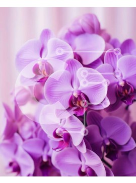 Intra Συλλεκτικό Ξύλινο Παζλ Plywood  4mm - Μπουκέτο με μωβ ορχιδέες Σε Ξύλινο Κουτί - Διαστάσεις: 10x10 cm – 25 κομμάτια