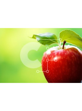 Σετ των 2 Intra Συλλεκτικό Ξύλινο Παζλ Plywood  4mm - Κόκκινο μήλο με φύλλο Σε Ξύλινο Κουτί - Διαστάσεις: 10x10 cm – 25 κομμάτια