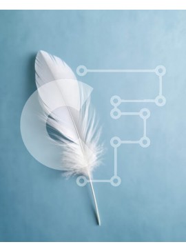 Intra Συλλεκτικό Ξύλινο Παζλ Plywood  4mm - Όμορφη εικόνα ενός λευκού φτερού σε γαλάζιο φόντο Σε Ξύλινο Κουτί - Διαστάσεις: 10x10 cm – 25 κομμάτια