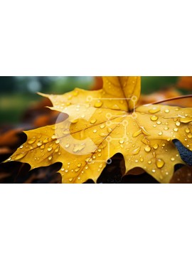 Intra Συλλεκτικό Ξύλινο Παζλ Plywood  4mm - Κίτρινο φύλλο με σταγονίδια νερού Σε Ξύλινο Κουτί - Διαστάσεις: 10x10 cm – 25 κομμάτια