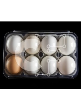 Σετ των 2 Intra Συλλεκτικό Ξύλινο Παζλ Plywood  4mm - Έξι αυγά σε διάφανο πλαστικό δοχείο Σε Ξύλινο Κουτί - Διαστάσεις: 10x10 cm – 25 κομμάτια