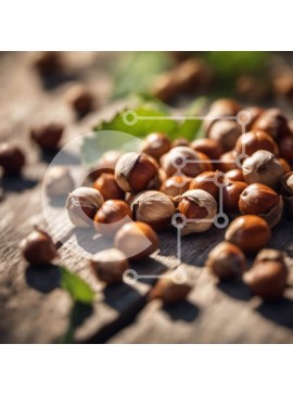 Σετ των 2 Intra Συλλεκτικό Ξύλινο Παζλ Plywood  4mm - Φρέσκα φουντούκια σε ξύλινη επιφάνεια Σε Ξύλινο Κουτί - Διαστάσεις: 10x10 cm – 25 κομμάτια