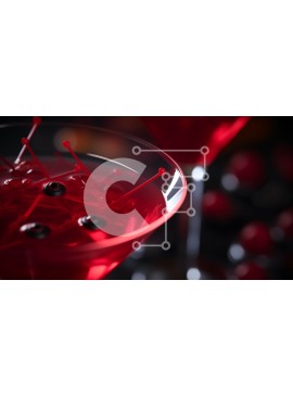 Σετ των 2 Intra Συλλεκτικό Ξύλινο Παζλ Plywood  4mm - Κόκκινα κοκτέιλ Martini με μούρα σε ένα ποτήρι Σε Ξύλινο Κουτί - Διαστάσεις: 10x10 cm – 25 κομμάτια