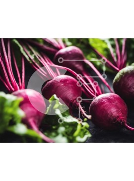 Σετ των 2 Intra Συλλεκτικό Ξύλινο Παζλ Plywood  4mm - Φρέσκα κόκκινα παντζάρια στοιβάζονται το ένα πάνω στο άλλο Σε Ξύλινο Κουτί - Διαστάσεις: 10x10 cm – 25 κομμάτια