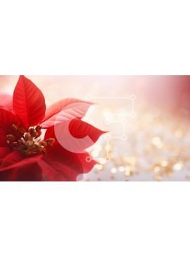 Intra Συλλεκτικό Ξύλινο Παζλ Plywood  4mm - Κόκκινο λουλούδι Poinsettia σε αφηρημένο χρυσό γκλίτερ φόντο Σε Ξύλινο Κουτί - Διαστάσεις Puzzle: 10x10 cm – 25 κομμάτια