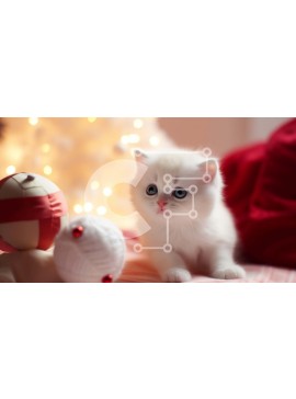 Σετ των 2 Intra Συλλεκτικό Ξύλινο Παζλ Plywood  4mm - Λευκό γατάκι που κάθεται στο κρεβάτι με λούτρινο ζώο Σε Ξύλινο Κουτί - Διαστάσεις: 10x10 cm – 25 κομμάτια