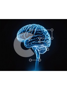 Intra Συλλεκτικό Ξύλινο Παζλ Plywood  4mm - Ανθρώπινος εγκέφαλος με μπλε φωτισμό για τη μελέτη της δομής και της λειτουργίας Σε Ξύλινο Κουτί - Διαστάσεις Puzzle: 10x10 cm – 25 κομμάτια