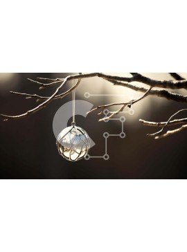 Intra Συλλεκτικό Ξύλινο Παζλ Plywood  4mm - Ασημένιο στολίδι που κρέμεται από κλαδί δέντρου Σε Ξύλινο Κουτί - Διαστάσεις Puzzle: 10x10 cm – 25 κομμάτια