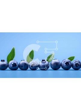 Σετ των 2 Intra Συλλεκτικό Ξύλινο Παζλ Plywood  4mm - Φρέσκα βατόμουρα με πράσινα φύλλα Σε Ξύλινο Κουτί - Διαστάσεις: 10x10 cm – 25 κομμάτια