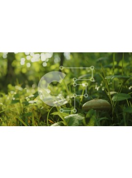 Intra Συλλεκτικό Ξύλινο Παζλ Plywood  4mm - Μανιτάρι στο καταπράσινο γρασίδι Σε Ξύλινο Κουτί - Διαστάσεις: 10x10 cm – 25 κομμάτια