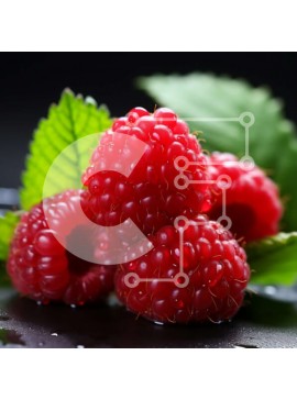 Σετ των 2 Intra Συλλεκτικό Ξύλινο Παζλ Plywood  4mm - Φρέσκα σμέουρα σε μαύρη επιφάνεια Σε Ξύλινο Κουτί - Διαστάσεις: 10x10 cm – 25 κομμάτια