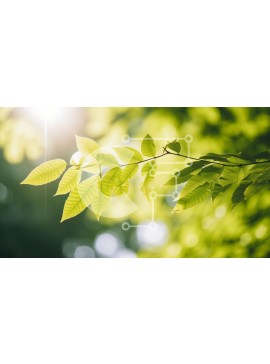 Intra Συλλεκτικό Ξύλινο Παζλ Plywood  4mm - Πράσινα φύλλα με το φως του ήλιου να λάμπει Σε Ξύλινο Κουτί - Διαστάσεις: 10x10 cm – 25 κομμάτια