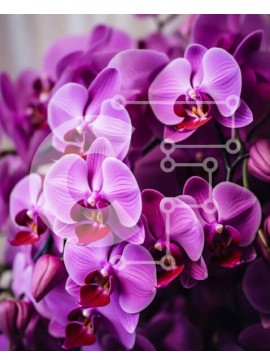 Σετ των 2 Intra Συλλεκτικό Ξύλινο Παζλ Plywood  4mm - Μπουκέτο με μωβ λουλούδια ορχιδέας σε άνθηση Σε Ξύλινο Κουτί - Διαστάσεις: 10x10 cm – 25 κομμάτια