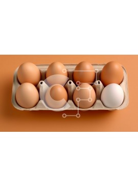 Σετ των 2 Intra Συλλεκτικό Ξύλινο Παζλ Plywood  4mm - Κουτί με αυγά με λευκά και καφέ αυγά Σε Ξύλινο Κουτί - Διαστάσεις: 10x10 cm – 25 κομμάτια