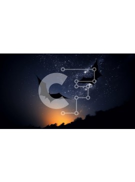 Intra Συλλεκτικό Ξύλινο Παζλ Plywood  4mm - Σαγηνευτική εικόνα με νυχτερίδες που πετούν με πανσέληνο Σε Ξύλινο Κουτί - Διαστάσεις: 10x10 cm – 25 κομμάτια