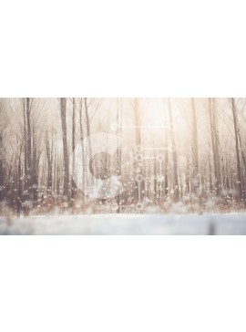 Intra Συλλεκτικό Ξύλινο Παζλ Plywood  4mm - Χιονισμένο δάσος με το φως του ήλιου να ρέει μέσα από δέντρα Σε Ξύλινο Κουτί - Διαστάσεις: 10x10 cm – 25 κομμάτια