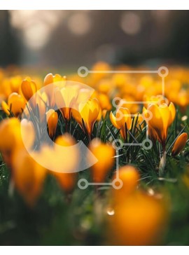 Intra Συλλεκτικό Ξύλινο Παζλ Plywood  4mm - Ζωντανό πεδίο με κίτρινα λουλούδια κρόκου Σε Ξύλινο Κουτί - Διαστάσεις: 10x10 cm – 25 κομμάτια