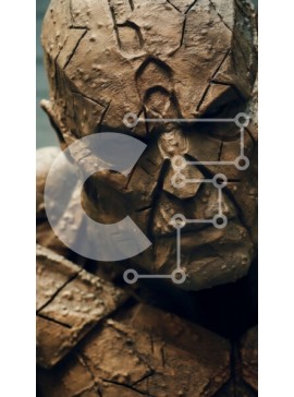 Intra Συλλεκτικό Ξύλινο Παζλ Plywood  4mm - Έντονη και τραχιά κοντινή πλάνο αντρικού προσώπου Σε Ξύλινο Κουτί - Διαστάσεις Puzzle: 10x10 cm – 25 κομμάτια