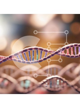 Intra Συλλεκτικό Ξύλινο Παζλ Plywood  4mm - Σκέλη DNA για Γενετική Έρευνα και Εκπαίδευση Σε Ξύλινο Κουτί - Διαστάσεις Puzzle: 10x10 cm – 25 κομμάτια