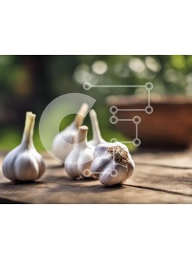 Σετ των 2 Intra Συλλεκτικό Ξύλινο Παζλ Plywood  4mm - Βολβοί φρέσκου σκόρδου σε ξύλινο τραπέζι Σε Ξύλινο Κουτί - Διαστάσεις: 10x10 cm – 25 κομμάτια