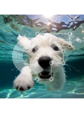 Intra Συλλεκτικό Ξύλινο Παζλ Plywood  4mm - Αξιολάτρευτη εικόνα ενός μικρού λευκού σκύλου που κολυμπά Σε Ξύλινο Κουτί - Διαστάσεις: 10x10 cm – 25 κομμάτια
