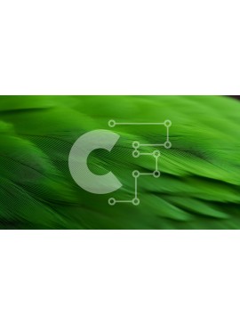 Intra Συλλεκτικό Ξύλινο Παζλ Plywood  4mm - Θολά πράσινα φτερά παπαγάλου σε κίνηση Σε Ξύλινο Κουτί - Διαστάσεις: 10x10 cm – 25 κομμάτια