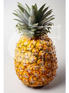 Σετ των 2 Intra Συλλεκτικό Ξύλινο Παζλ Plywood  4mm - Νόστιμη εικόνα ενός φρέσκου ανανά Σε Ξύλινο Κουτί - Διαστάσεις: 10x10 cm – 25 κομμάτια