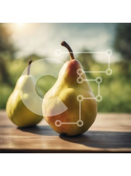 Σετ των 2 Intra Συλλεκτικό Ξύλινο Παζλ Plywood  4mm - Δύο ώριμα αχλάδια σε ένα ξύλινο τραπέζι με πράσινο φόντο Σε Ξύλινο Κουτί - Διαστάσεις: 10x10 cm – 25 κομμάτια