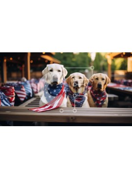 Σετ των 2 Intra Συλλεκτικό Ξύλινο Παζλ Plywood  4mm - Πατριωτικά κίτρινα Λαμπραντόρ στο τραπέζι πικνίκ Σε Ξύλινο Κουτί - Διαστάσεις: 10x10 cm – 25 κομμάτια