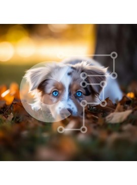 Intra Συλλεκτικό Ξύλινο Παζλ Plywood  4mm - Αξιολάτρευτο κουτάβι στα φθινοπωρινά φύλλα Σε Ξύλινο Κουτί - Διαστάσεις: 10x10 cm – 25 κομμάτια