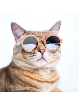 Intra Συλλεκτικό Ξύλινο Παζλ Plywood  4mm - Χαριτωμένη και αστεία γάτα που φοράει γυαλιά ηλίου Σε Ξύλινο Κουτί - Διαστάσεις: 10x10 cm – 25 κομμάτια